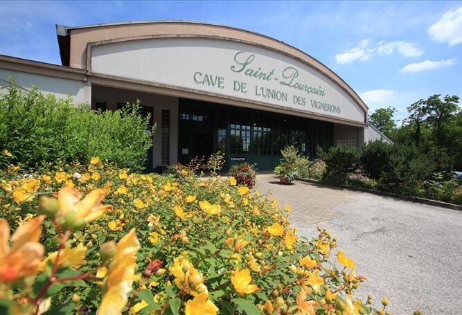 Petits matins, grands crus